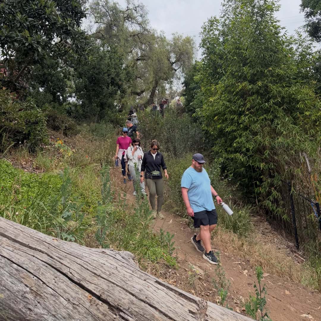 Hiking into our urban canyonlands.